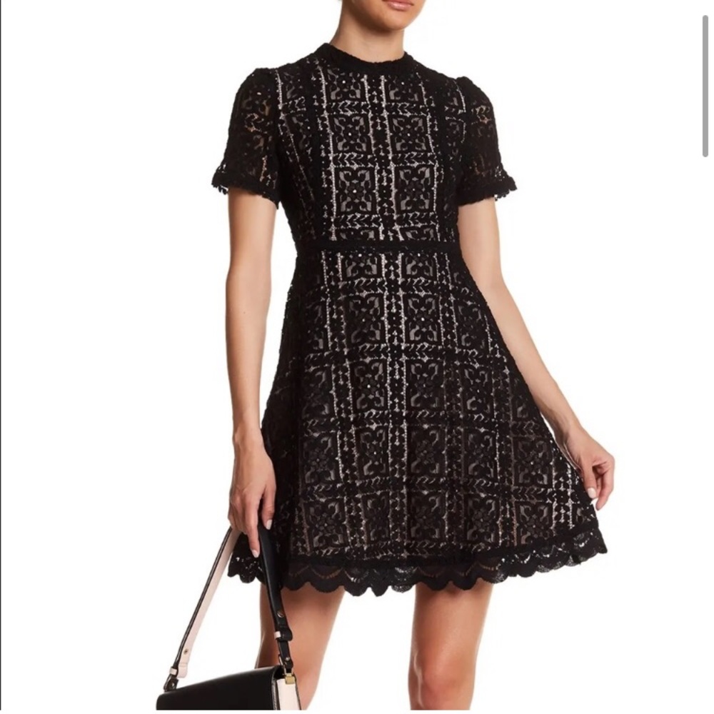 BB Dakota Adeline Lace Mini with Mock Neck